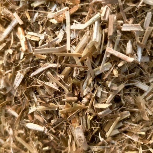 正阳县花生秧 精品小草