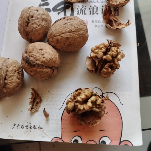 汾阳市纸皮核桃 山西省吕梁市汾阳市 袋装 6-12个月 