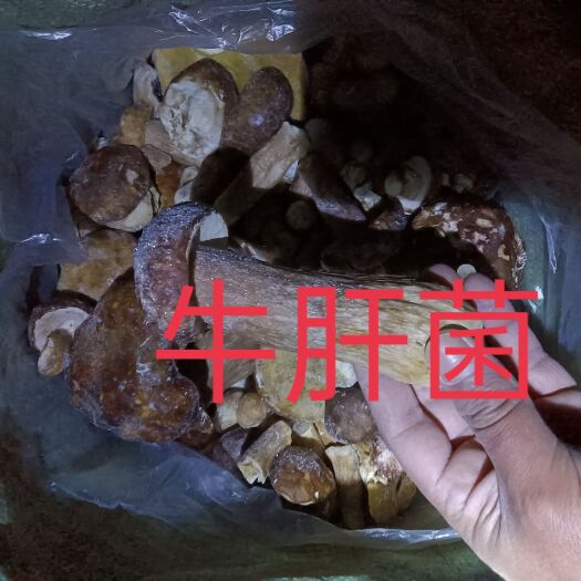 禄劝县野生香菇 冻品