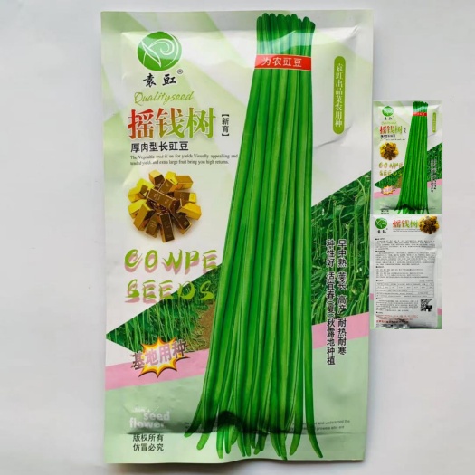 豆角种子 袁豇摇钱树豇豆种子基地专用长豆角种籽早熟厚肉型抗病