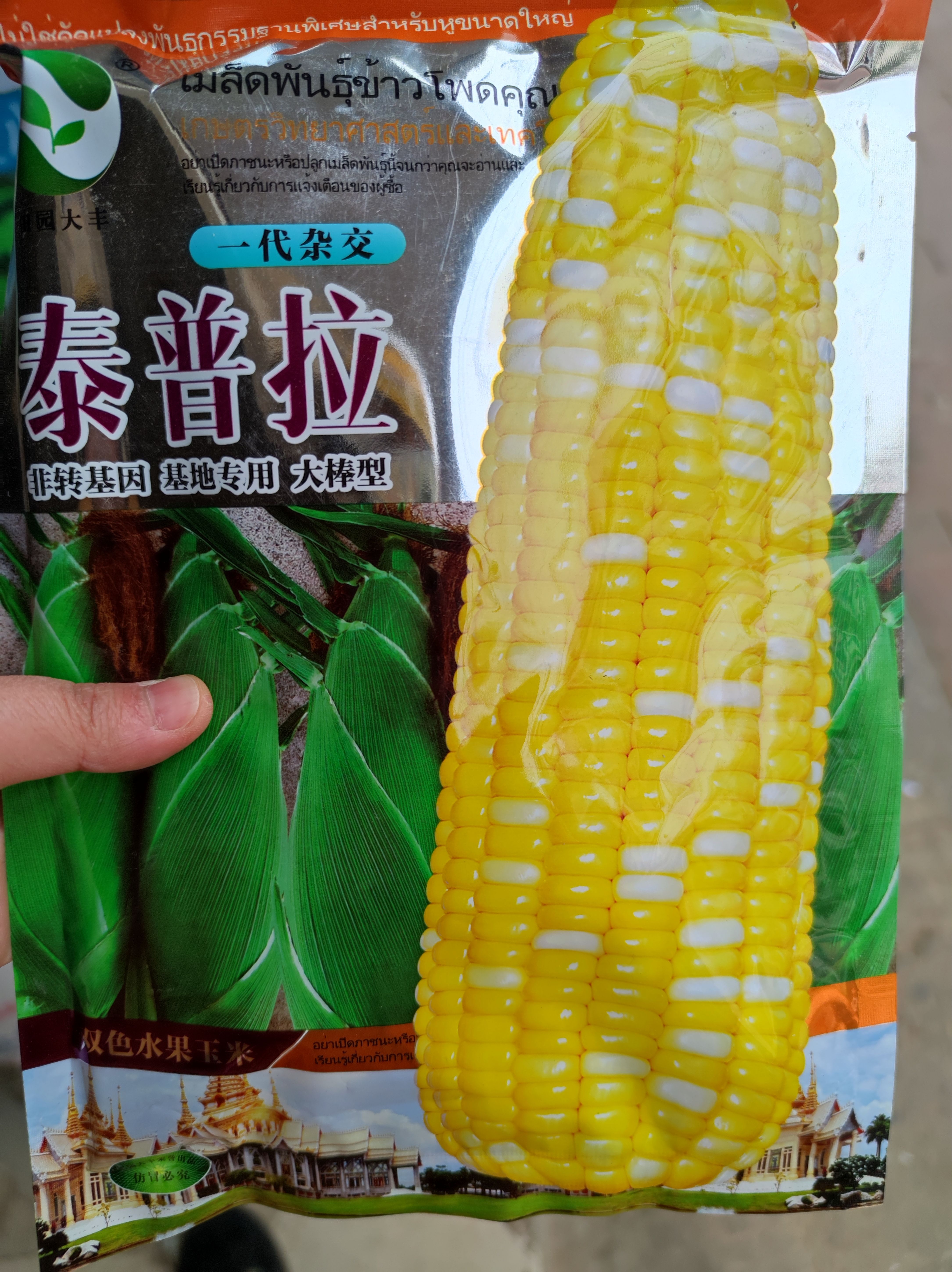 南昌甜玉米种子 泰普拉双色水果玉米种子，400克