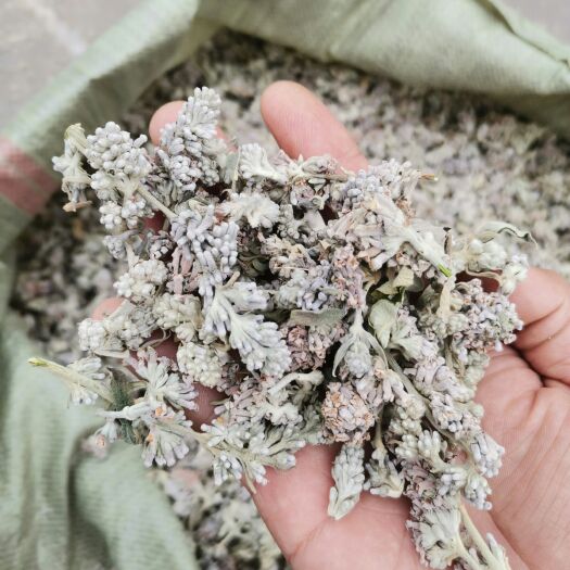 亳州石韦  密蒙花