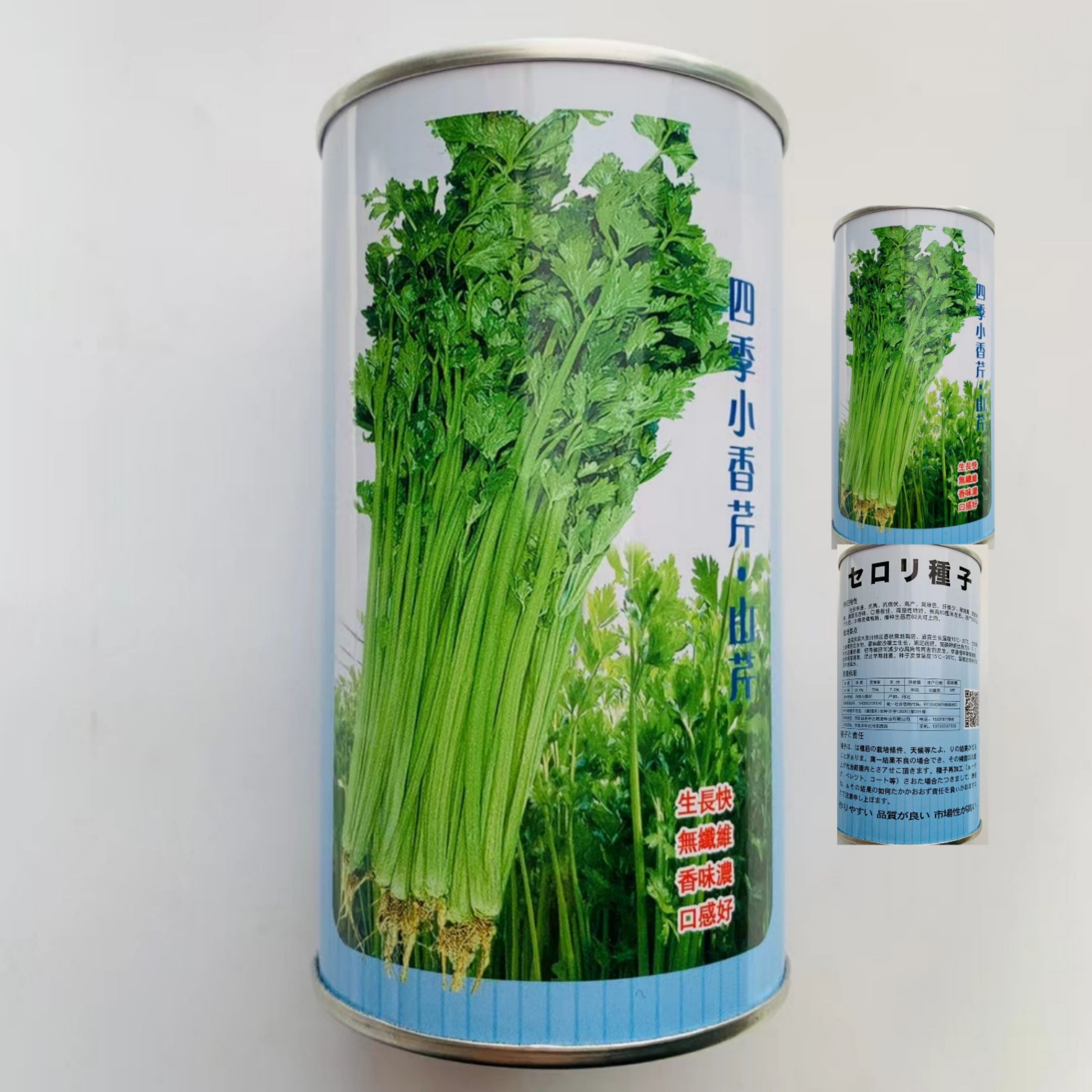 四季小香芹山芹种子四季速生脆嫩芹菜种子籽农家庭院盆栽蔬菜种