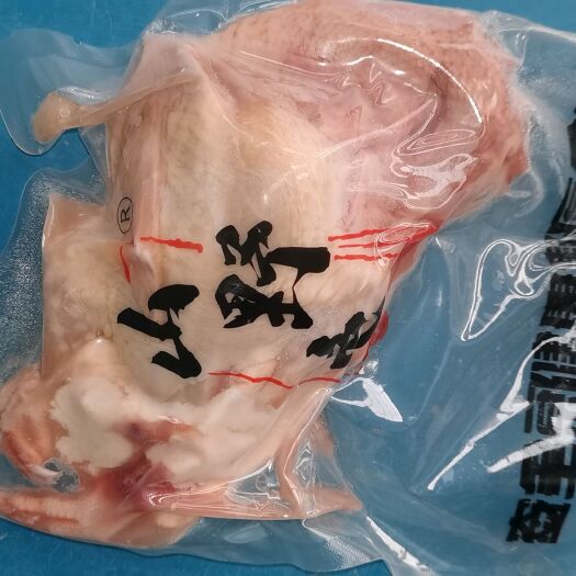 清远鸽肉 乳鸽新鲜5678