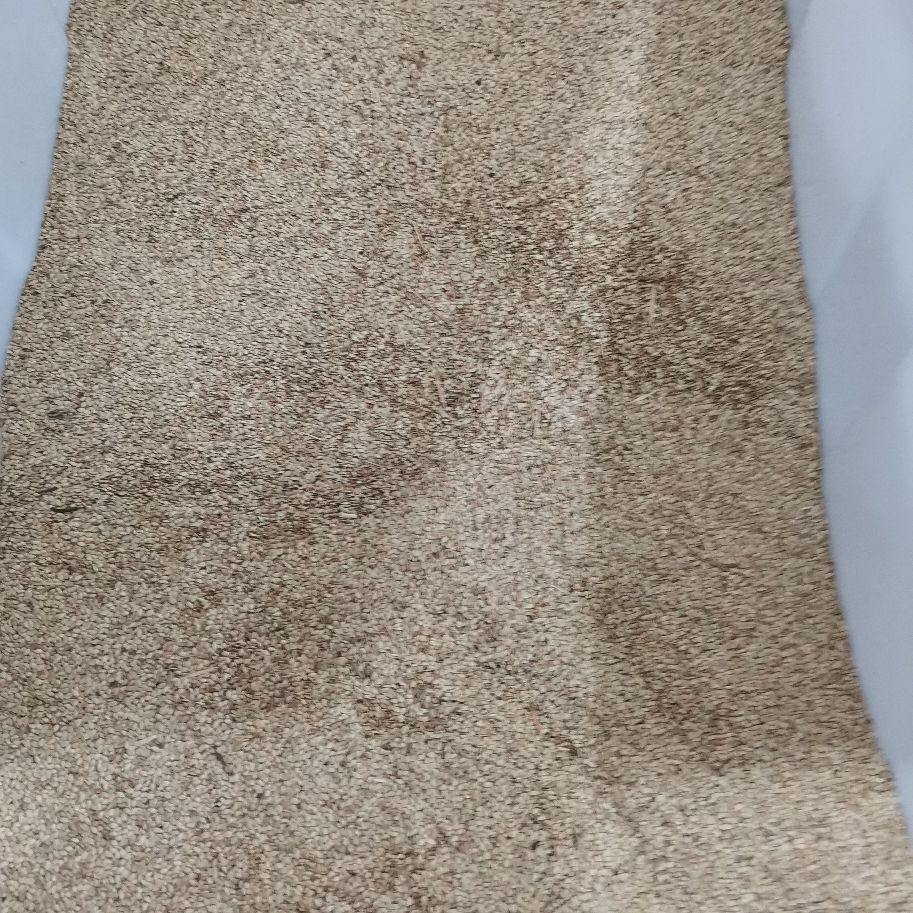  百喜草种子 道路护坡 水土保持 牧草草籽 公路 堤坝绿化草坪