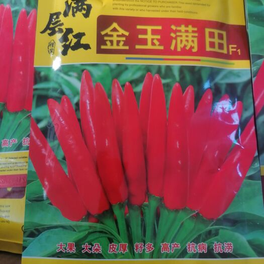 金乡县 朝天椒种子