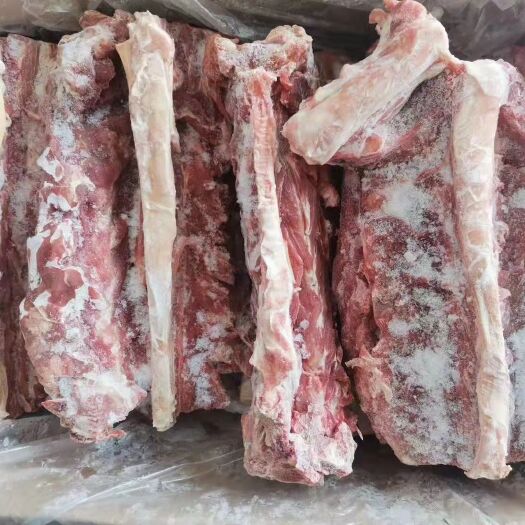 郑州多肉羊蝎子