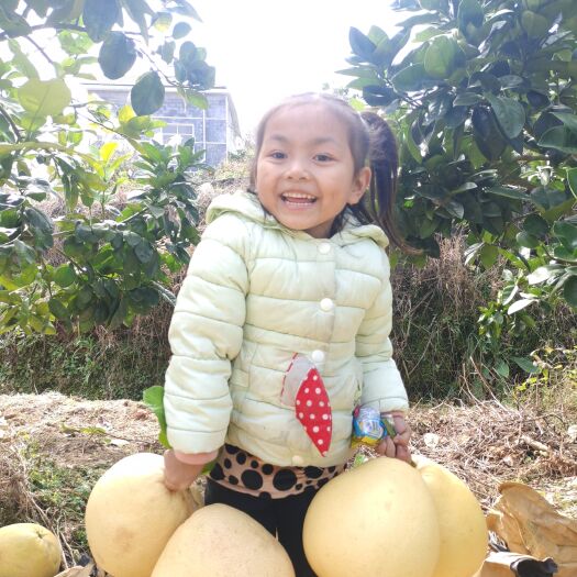宣恩县湖北宣恩贡水白柚产自李家河镇柚子水果不上火