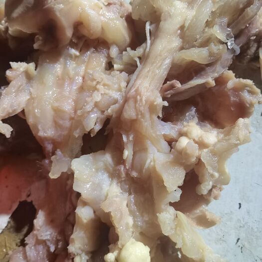 阳信县牛蹄筋 净筋 纯水煮熟牛负筋