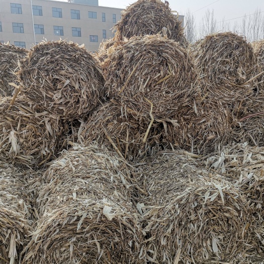 怀来县 玉米秸秆牧草～柔丝～砸断