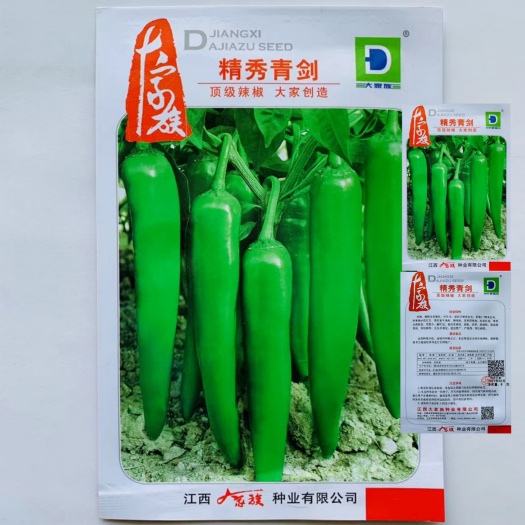沭阳县牛角椒种子 大家族精秀青剑辣椒种子小叶牛角椒种籽辣味浓特耐热