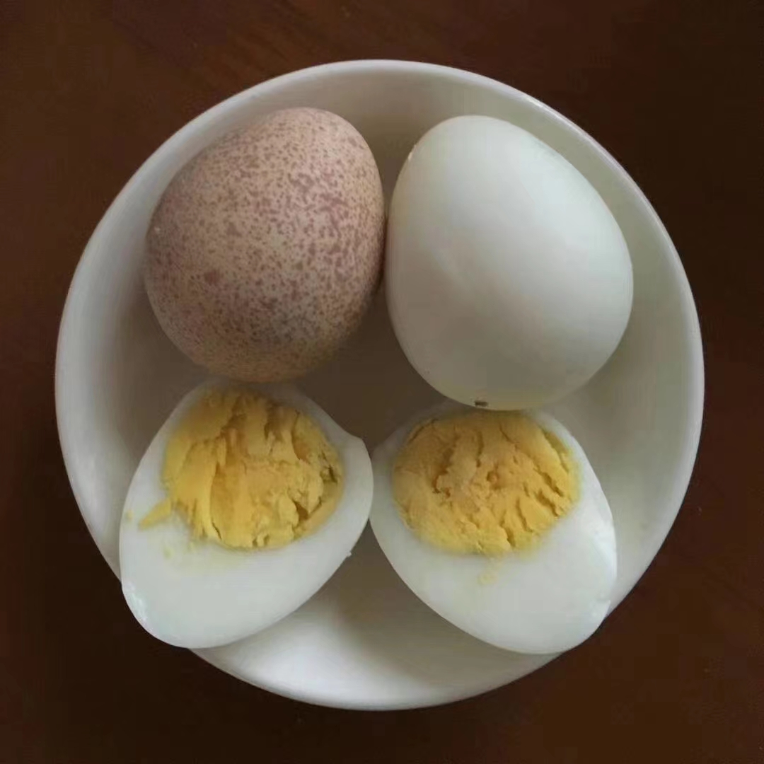 阳春市洋鸡蛋  珍珠鸡鸡蛋，健康的味道吃得到，提供优质蛋白质
