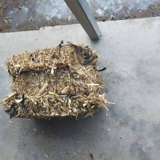 玉米秸秆牧草