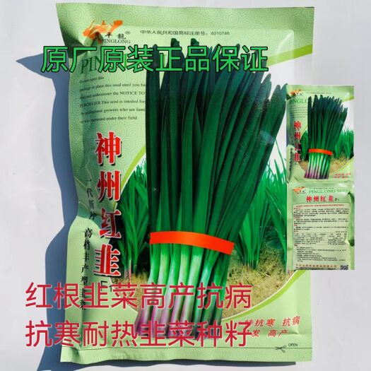 红根韭菜种子神州红韭高产抗病抗寒耐热韭菜种籽农家春秋蔬菜子