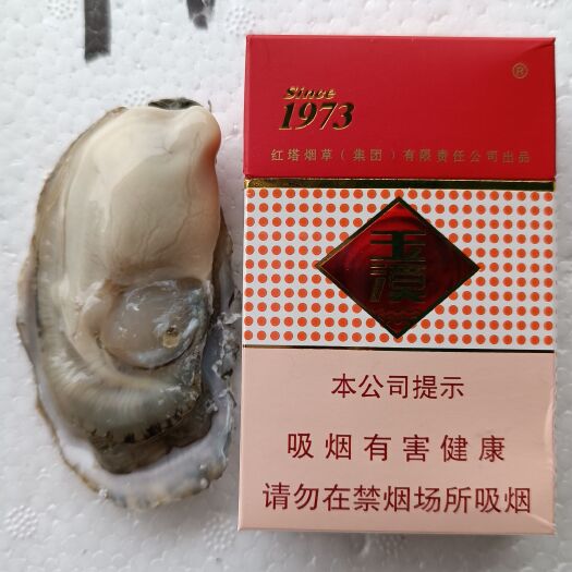 佛山三倍体生蚝 乳山精品生蚝