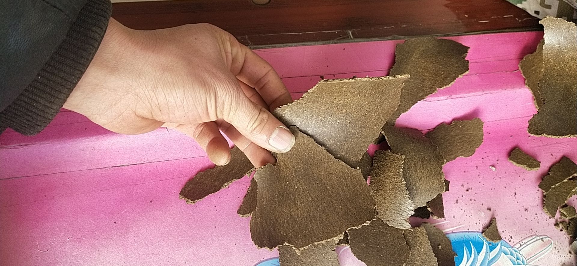 一级养殖饲料:有机肥料专用:优质胡麻饼批发