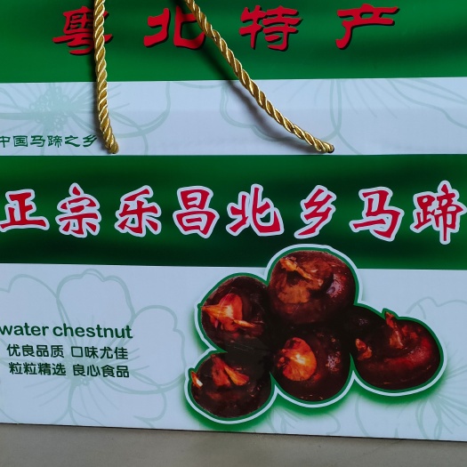 乐昌市 乐昌北乡马蹄