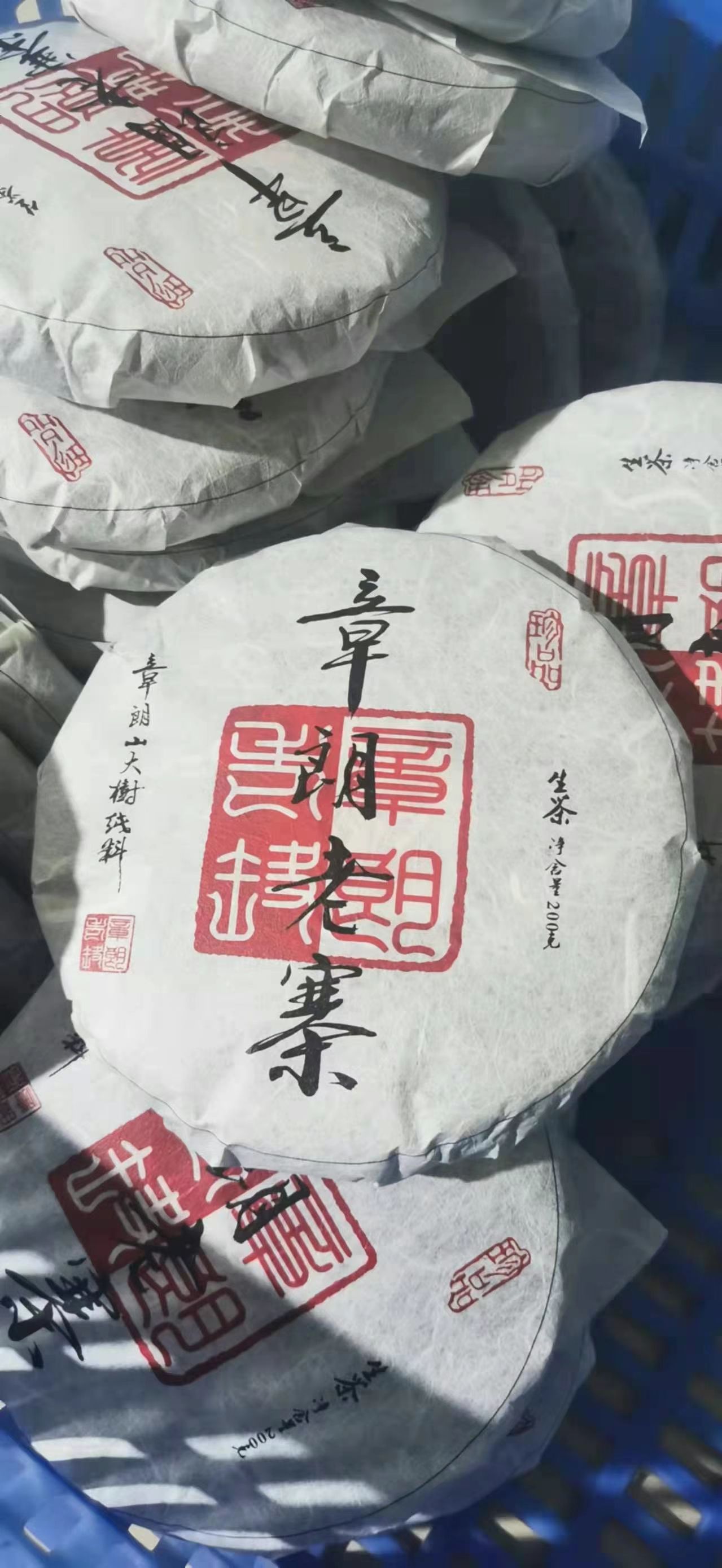  章朗古树茶