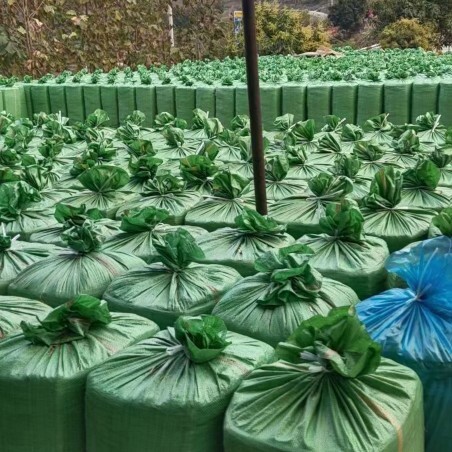 万载县青储草 牛羊青储料。玉米杆。甜象草。甘蔗尾青储
