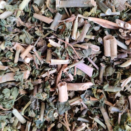 北流市 中草药材 猫眼草干品广西泽漆