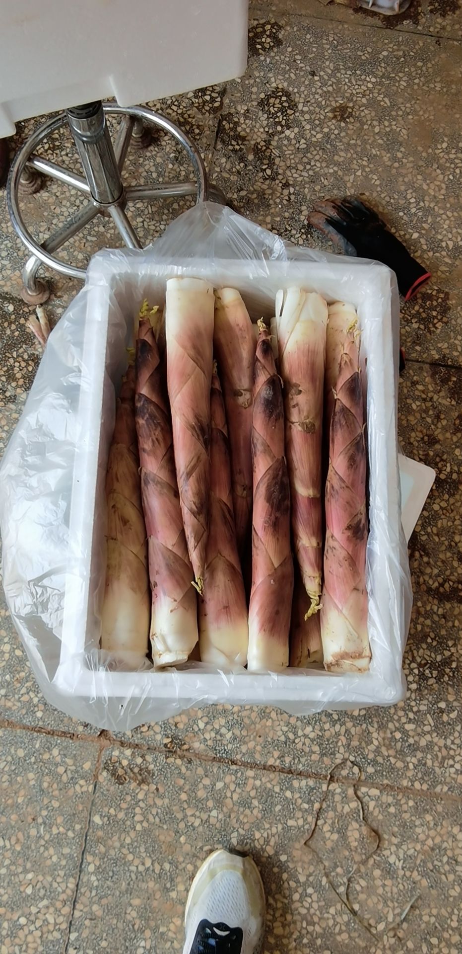 建瓯雷笋福建谷糠雷竹笋产地批黄泥谷糠笋  产地新鲜直达