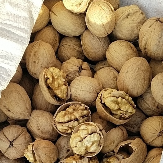 汾阳市纸皮核桃 新疆维吾尔自治区阿克苏地区温宿县 袋装 6-12个月 