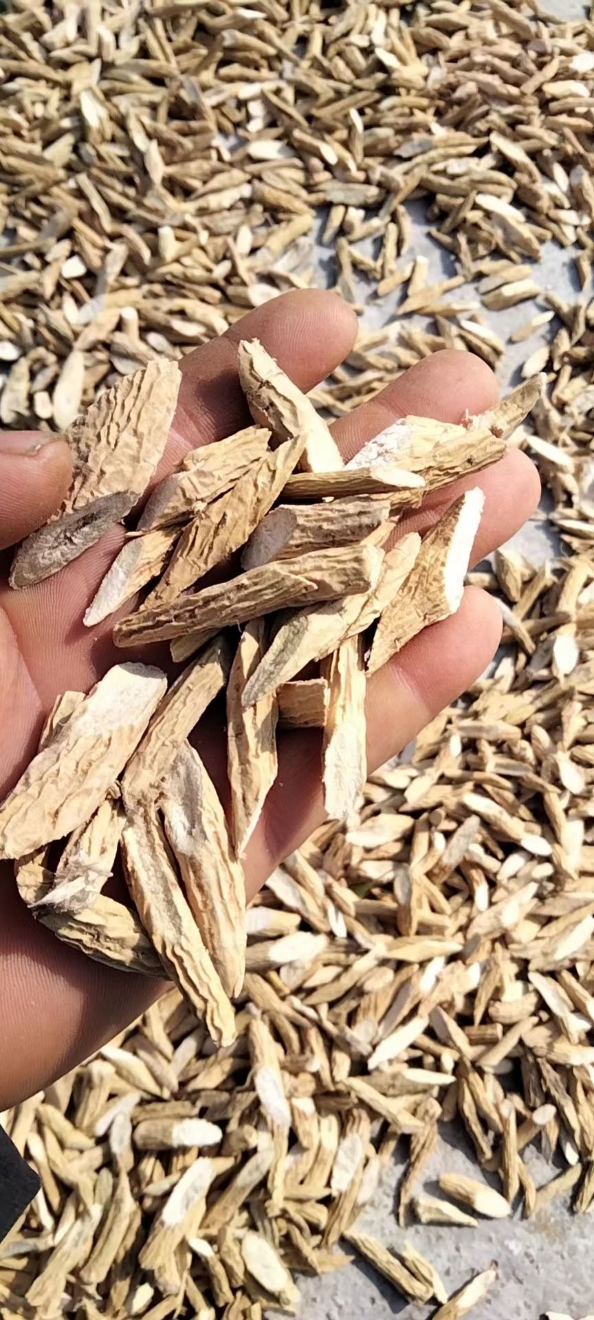 牛大力  ，干片。纯无，硫酸
