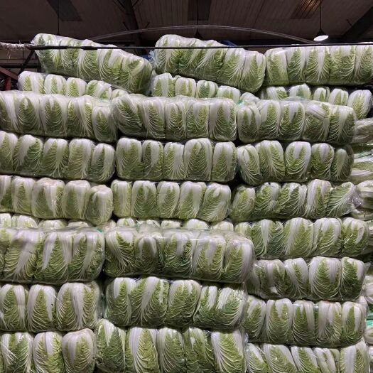 菏泽黄心大白菜，适应各批发市场批发