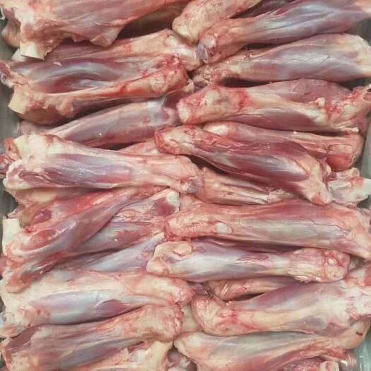 河间市羊骨 羔羊前腿4-6两