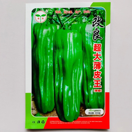 沭阳县改良超大薄皮王辣椒种子早熟抗病耐低温弱光果实长灯笼型薄皮高产