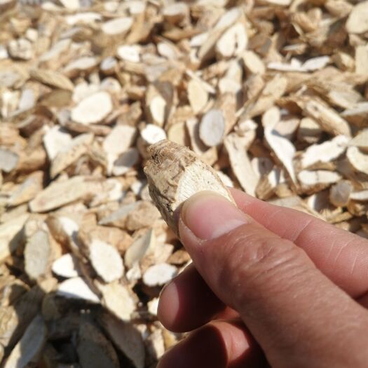 小牛片，无硫牛大力小牛片