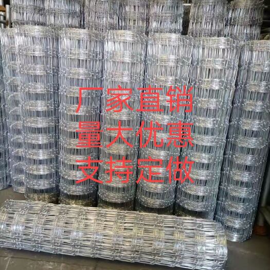 深州市荷兰网 牛栏网 圈牛  圈羊  圈地