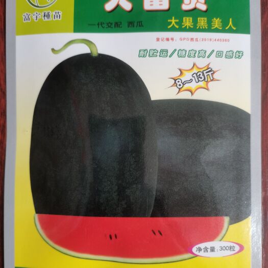黑美人西瓜种子广东富宇公司大富贵广西审定品种