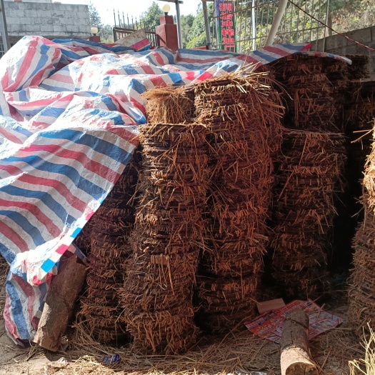 富川县茶枯，今年新榨茶枯