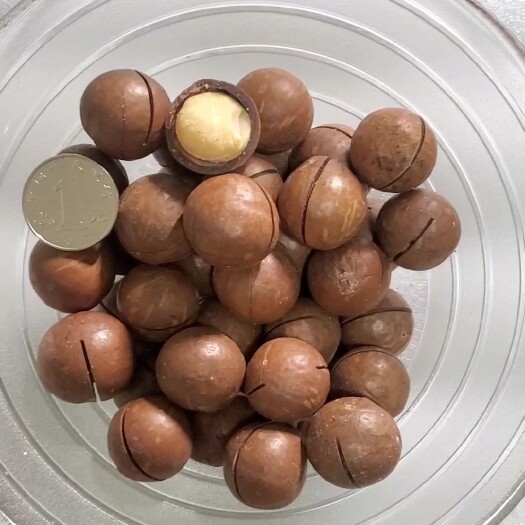 廊坊【只卖精品】一件代发澳洲坚果夏威夷果奶油味送开口器整箱10斤