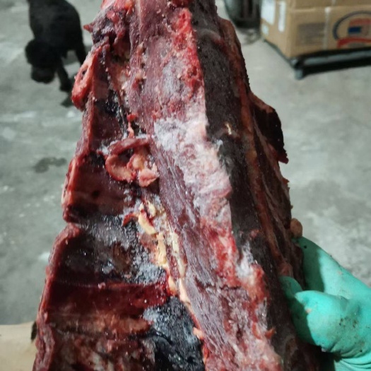 牛脊骨，