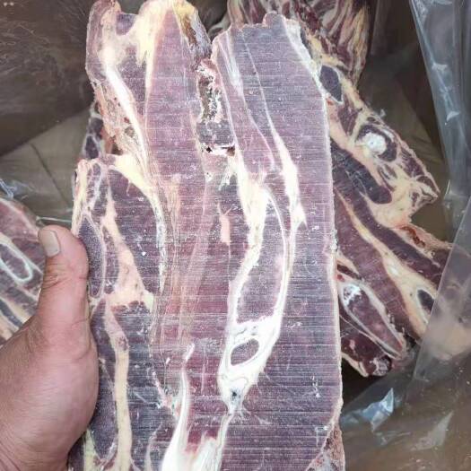 河间市牛骨 牛腩排，带牛腩肉的排
