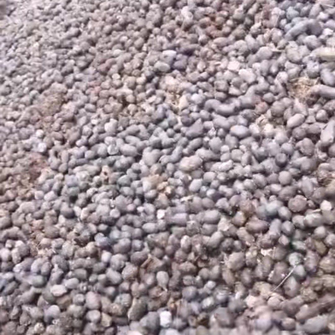 纯羊粪农家肥常年供应