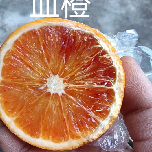 麻阳县湖南麻阳特优水果，塔罗科血橙，现正在大量热销中，