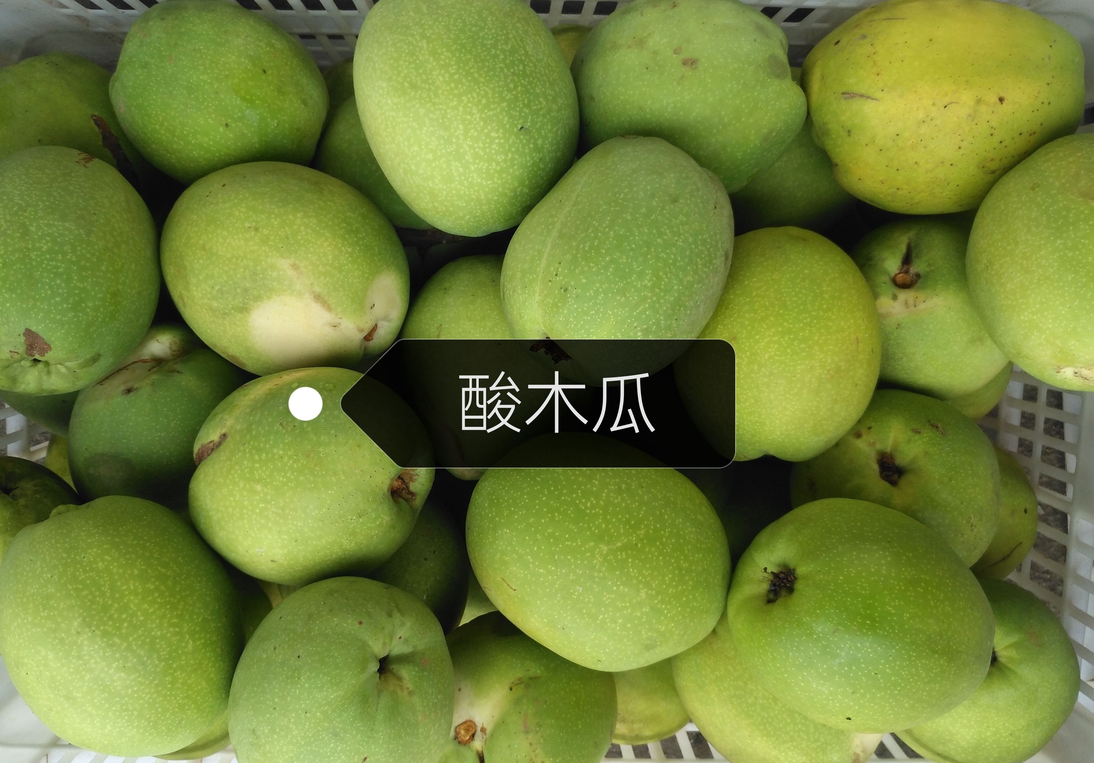  酸木瓜