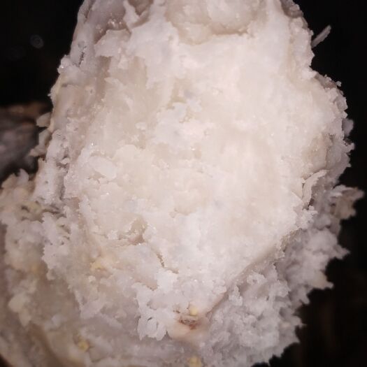 无公害小香宇，有名红芽芋，纯属，绿色生态食品，口感好，有养