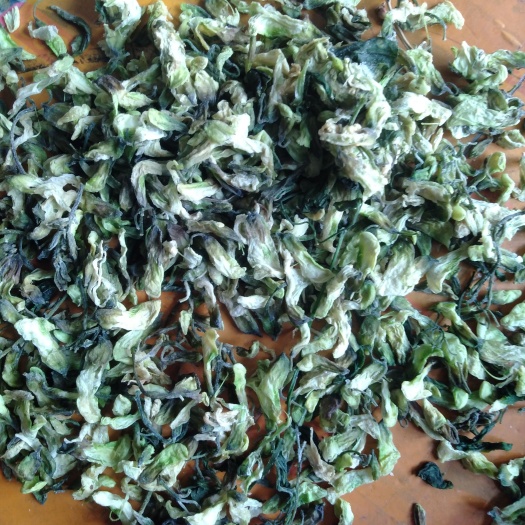 北京槐树花 大量批发洋槐花干货
