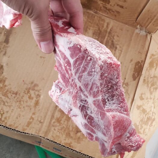 临沂猪排骨 母猪前排条