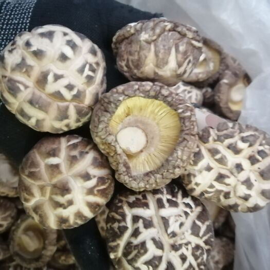 花菇花菇干货，深文，厚度好，产地直销量大从优