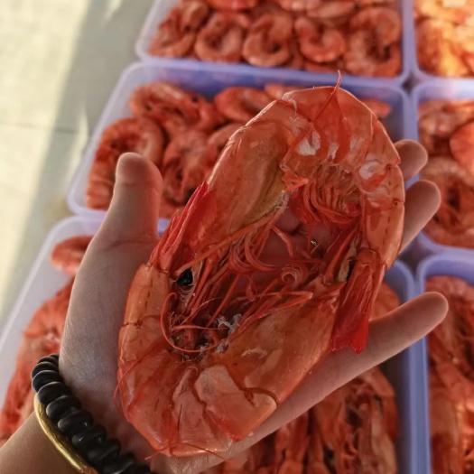 滨州对虾干 烤基围虾