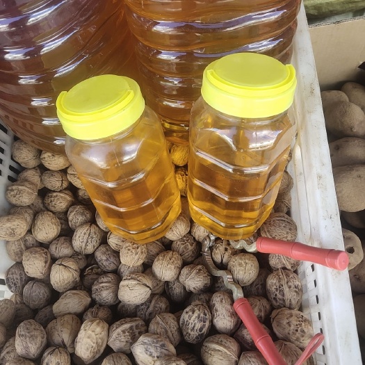 宁蒗县自产自销，核桃油