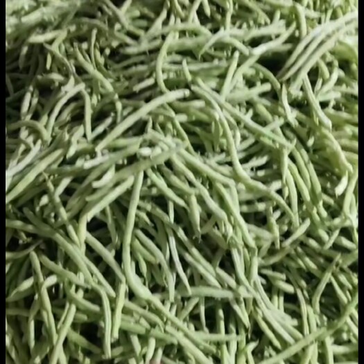高州市豆角