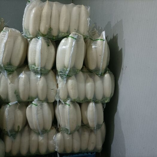 天门市 精品白萝卜条形好，白度好，无虫无圈无裂口三排四排五排三千等级