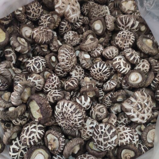 卢氏县 自家精选花菇，量不多，送礼佳品