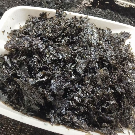 福鼎市头水紫菜 免手洗碎紫菜